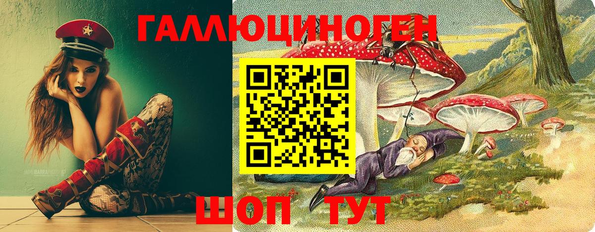 Кинель  Псилоцибиновые грибы Psilocybine cubensis  Вход с VPN 
