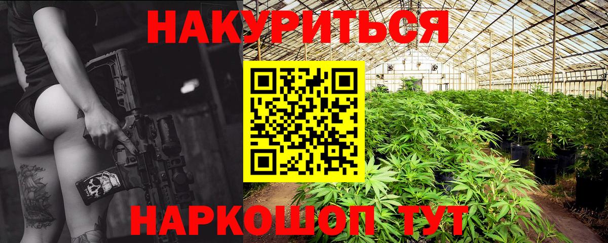 Канабис семена  Вход с VPN  Бошки Шишки White Widow  Кинель 